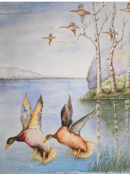 Patos