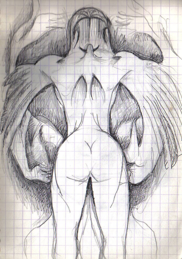 METAMORFOSIS