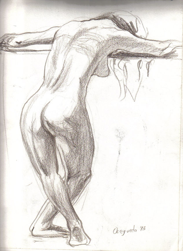ELVIA 2