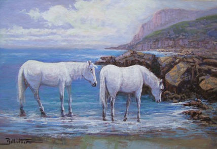 Cavalls 002