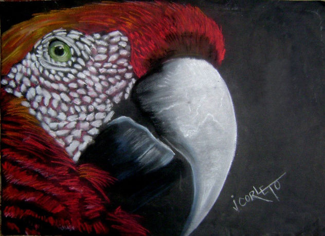 GUACAMAYA