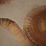 Espirales thumbnail 1