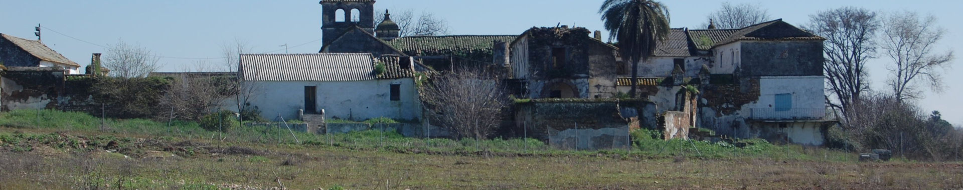 Imagen de portada