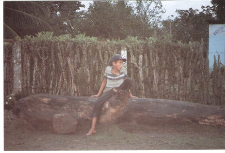 Infancia triste,...