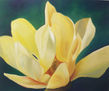 flor