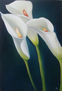 flor 11