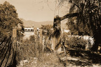 Maravi2