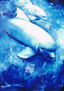 Delfines