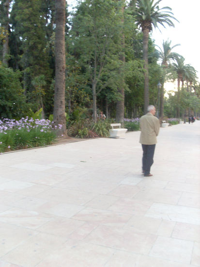 POR LAS CALLES DE MÁLAGA -VI-( EL ÚLTIMO PASEANTE) 