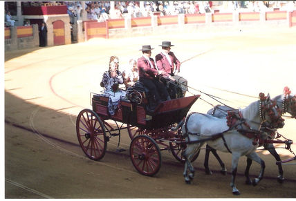 Tradicion taurina