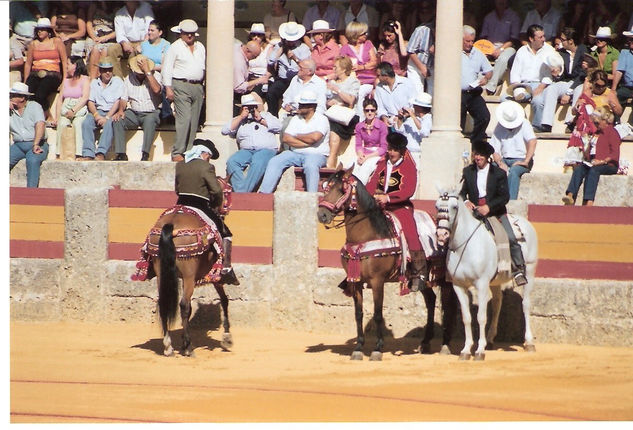 TOROS DE ESPAÑA 