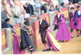 COLECCION DE FOTOS DE CORRIDA DE TOROS