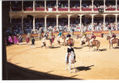 COLECCION CORRIDA DE TOROS