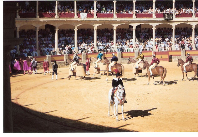 COLECCION CORRIDA DE TOROS 