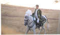 COLECCION CORRIDA TAURINA