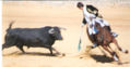 COLECCION CORRIDA TAURINA