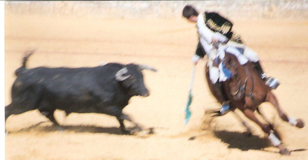 COLECCION CORRIDA TAURINA 