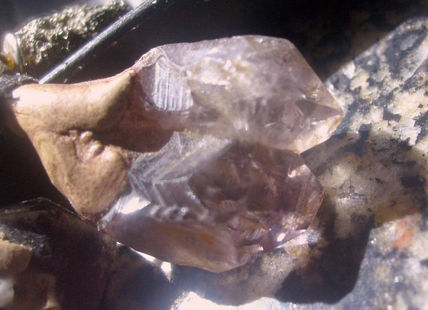 Amatista de dos`puntas