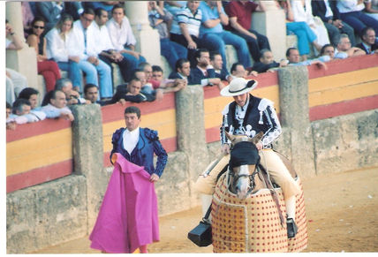 Coleccion corrida...