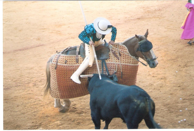 COLECCION CORRIDA TAURINA 