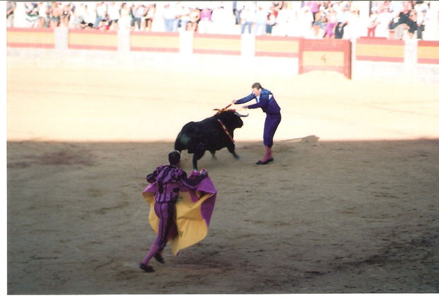 COLECCION CORRIDA TAURINA 