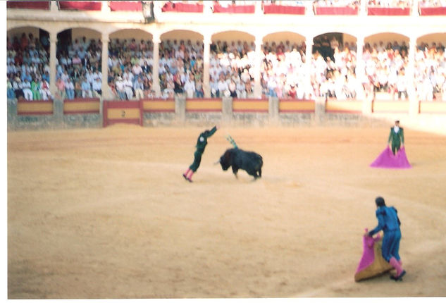 COLECCION CORRIDA TAURINA 