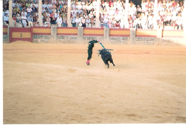 COLECCION CORRIDA TAURINA 