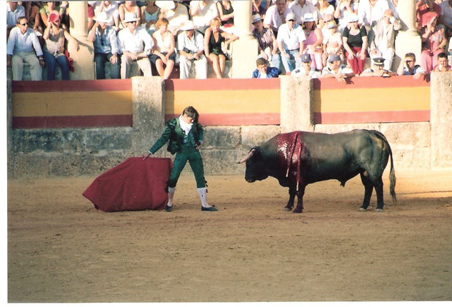 COLECCION CORRIDA TAURINA 