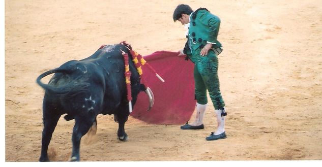 COLECCION CORRIDA DE TOROS 