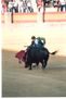 COLECCION CORRIDA TAURINA