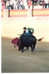 Coleccion corrida...