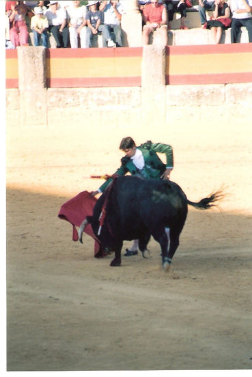 COLECCION CORRIDA TAURINA 