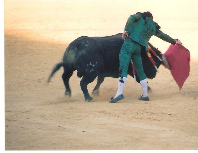 COLECCION CORRIDA TAURINA 