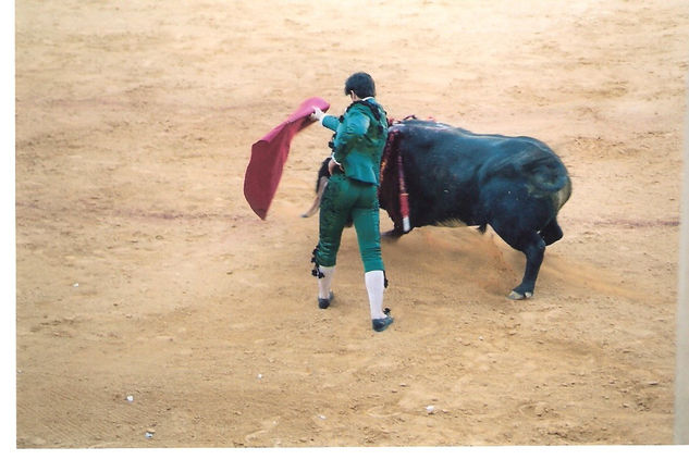 COLECCION CORRIDA TAURINA 