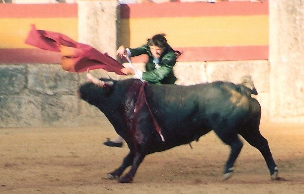 COLECCION CORRIDA DE TOROS 