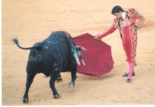 COLECCION CORRIDA TAURINA 