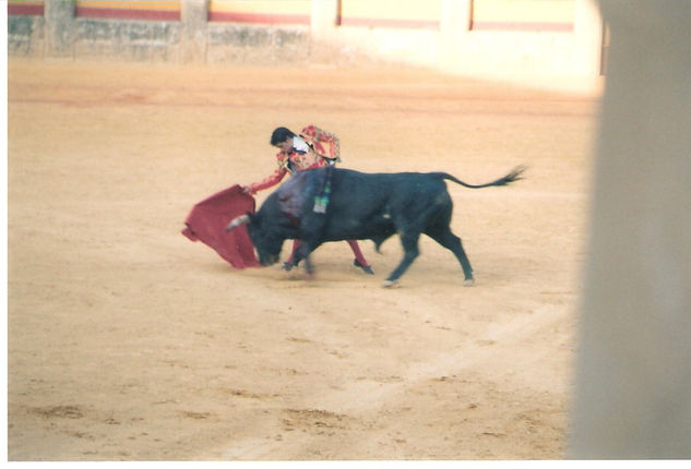 CORRIDA TAURINA 