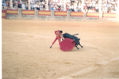 COLECCION CORRIDA TAURINA