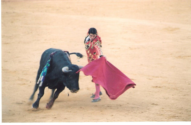 COLECCION CORRIDA TAURINA 