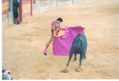 COLECCION CORRIDA TAURINA