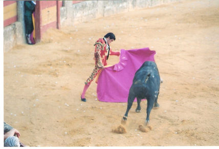Coleccion corrida...