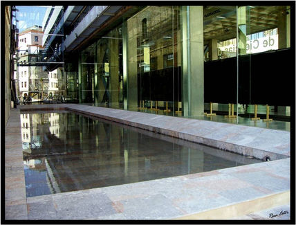 Ciencias en reflejo