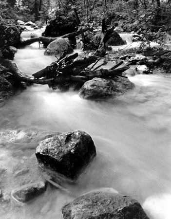 Agua 1 Nature Black and White (Digital)