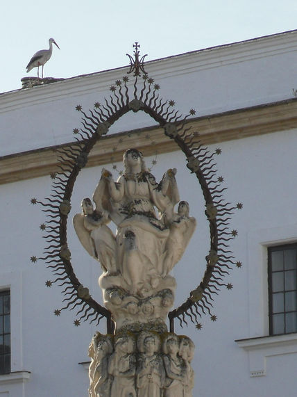 Curiosa foto