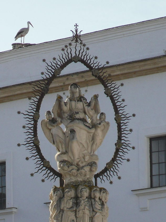 CURIOSA FOTO