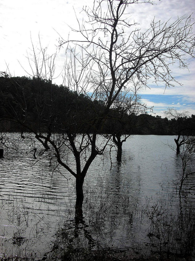 paisatge2