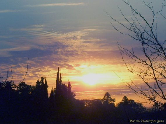 LA VIDA EN UN OCASO Nature Color (Digital)