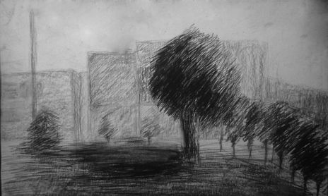 Dibujo Natural