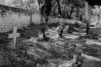 Caminar