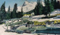 PAISAJE NEVADO